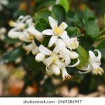 百喜体育平台官网的优势与用户体验深度解析 ik3xkg3