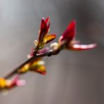 8月26日梅威瑟出战!全程直播见证拳王时刻 o8on4c