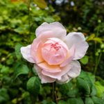 百亿游戏产业的商业模式演化与全球市场布局分析 tsjo2