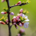 NBA篮球赛事高清直播,尽在YY官方频道 joa553dhf