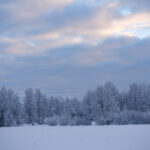 NBA篮球赛事高清直播全程精彩对决不容错过 vk2v89