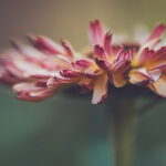 NBA篮球赛事高清直播视频全程精彩对决 xz6va7